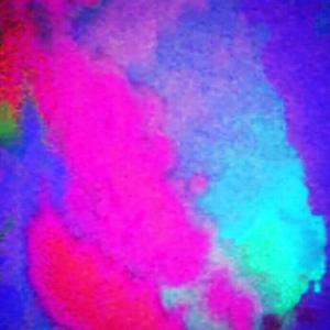 母狗园安装包最新版本
