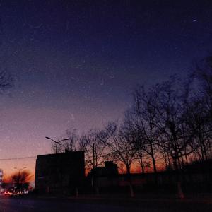 母狗园安装包最新版本
