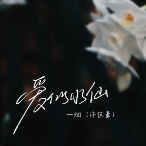 母狗园安装包最新版本
