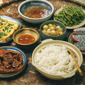 母狗园安装包最新版本
